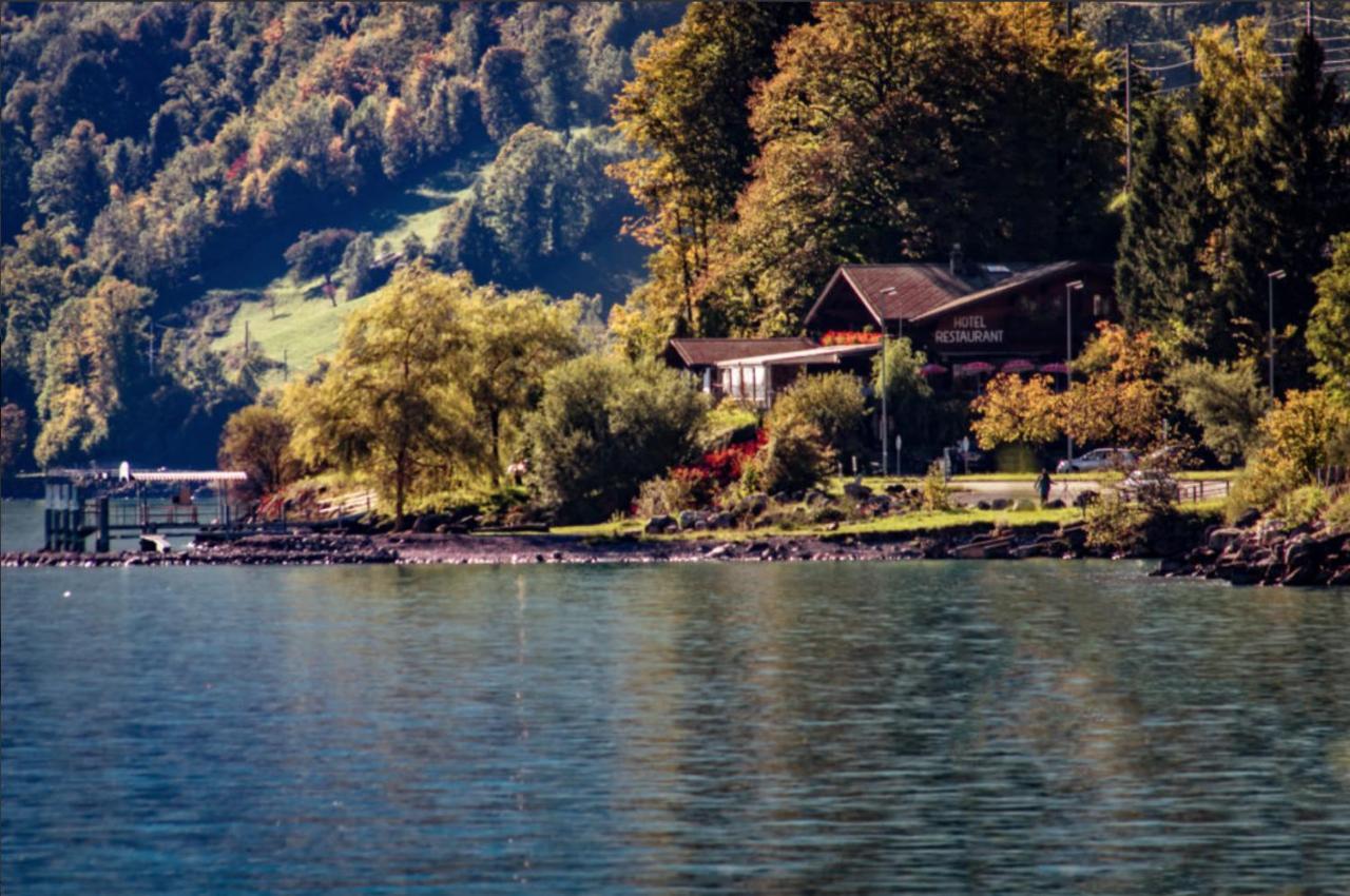 Hotel Wildbach Brienz Бриенц Экстерьер фото