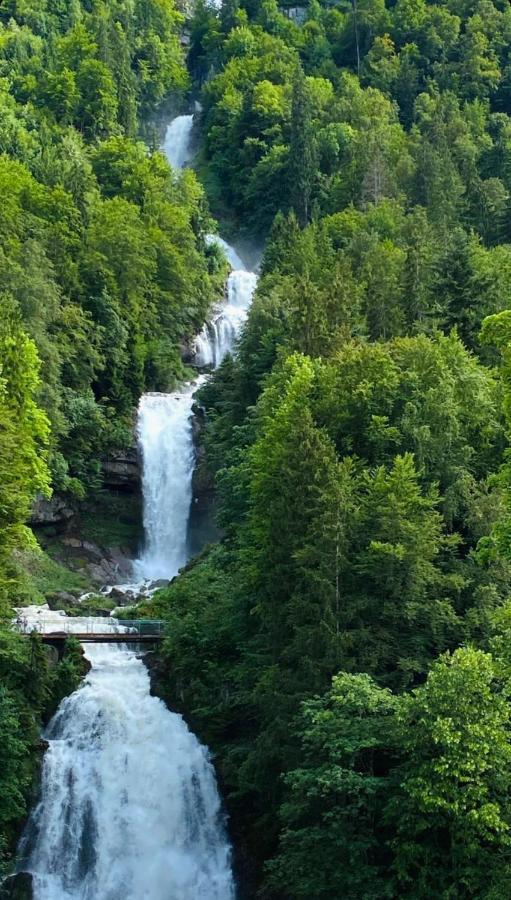 Hotel Wildbach Brienz Бриенц Экстерьер фото