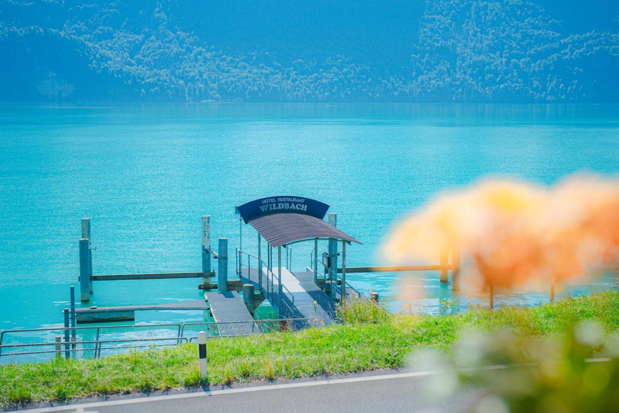 Hotel Wildbach Brienz Бриенц Экстерьер фото
